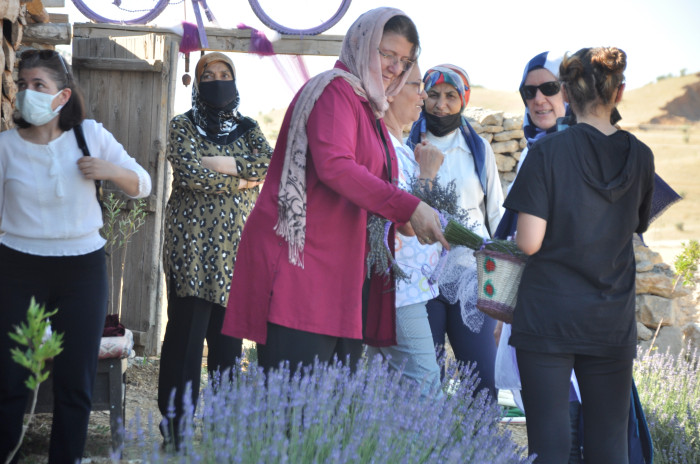 Seydişehir Lavanta Bahçesi