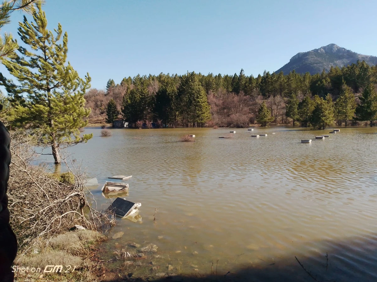 Arı kovanları sular altında kaldı