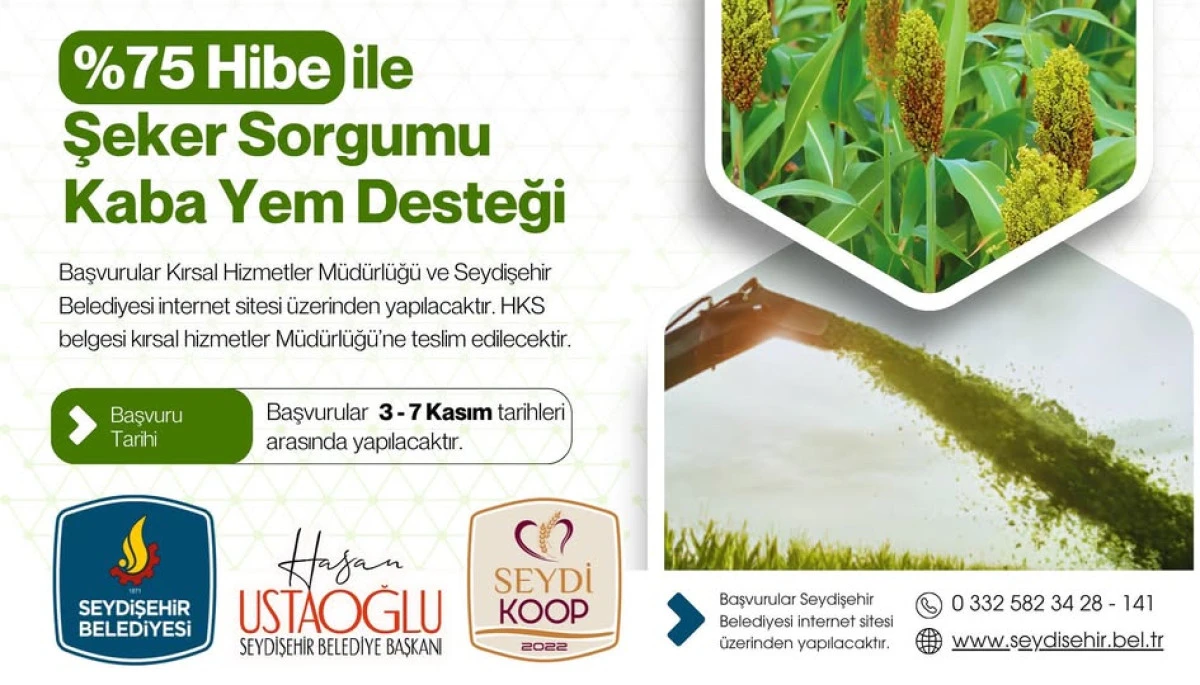 BELEDİYEDEN HİBE İLE ŞEKER SORGUMU KABA YEM DESTEĞİ 