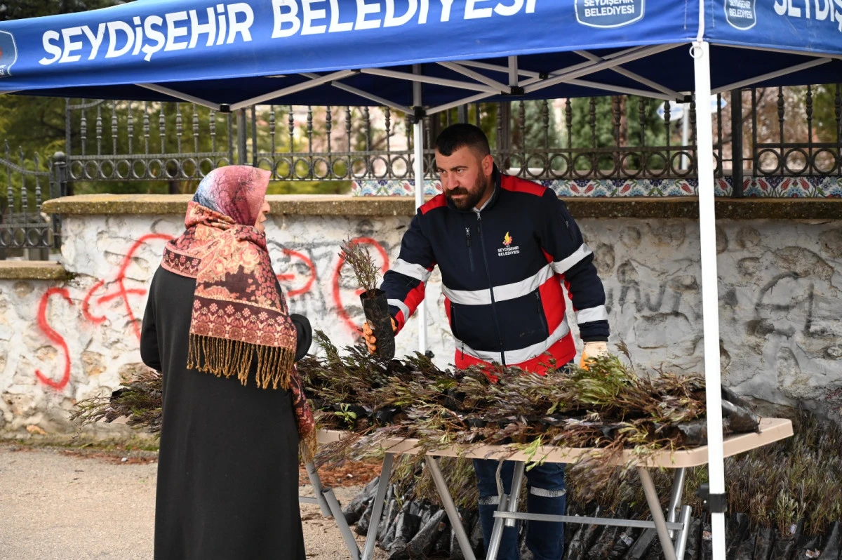 BELEDİYEDEN MEZAR ZİYARETİNE GELENLERE LAVANTA FİDESİ 