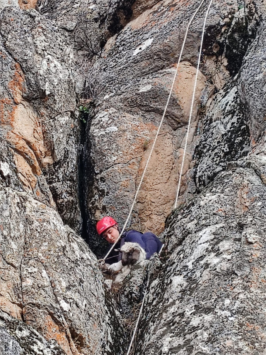 Dört gündür kayalıkta mahsur kalan keçi itfaiye ekiplerince kurtarıldı 