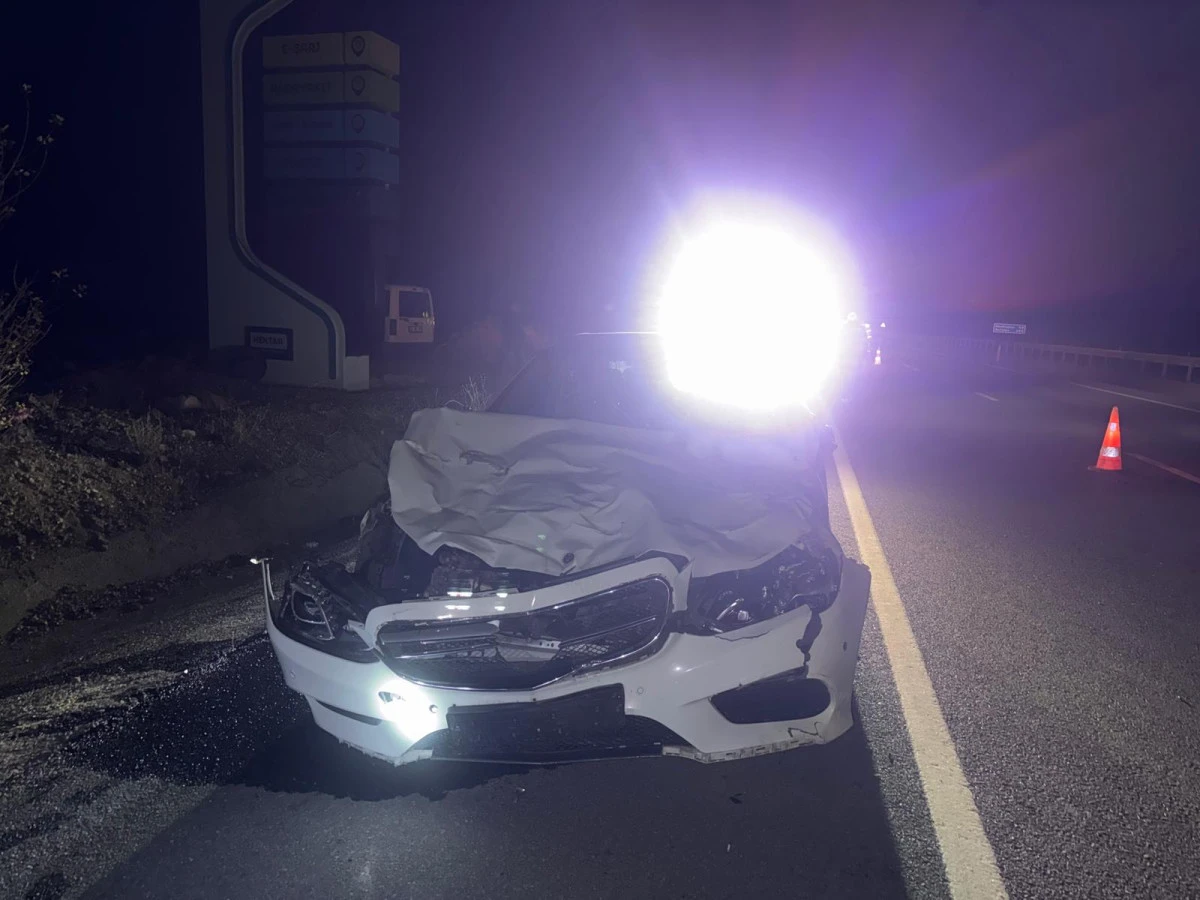 Kazada 3 inek telef oldu