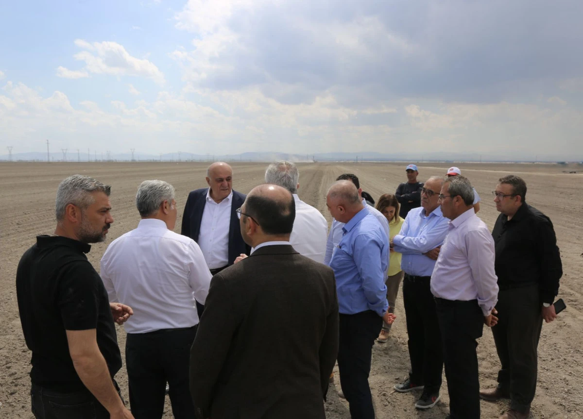 Pancar ekimi başladı