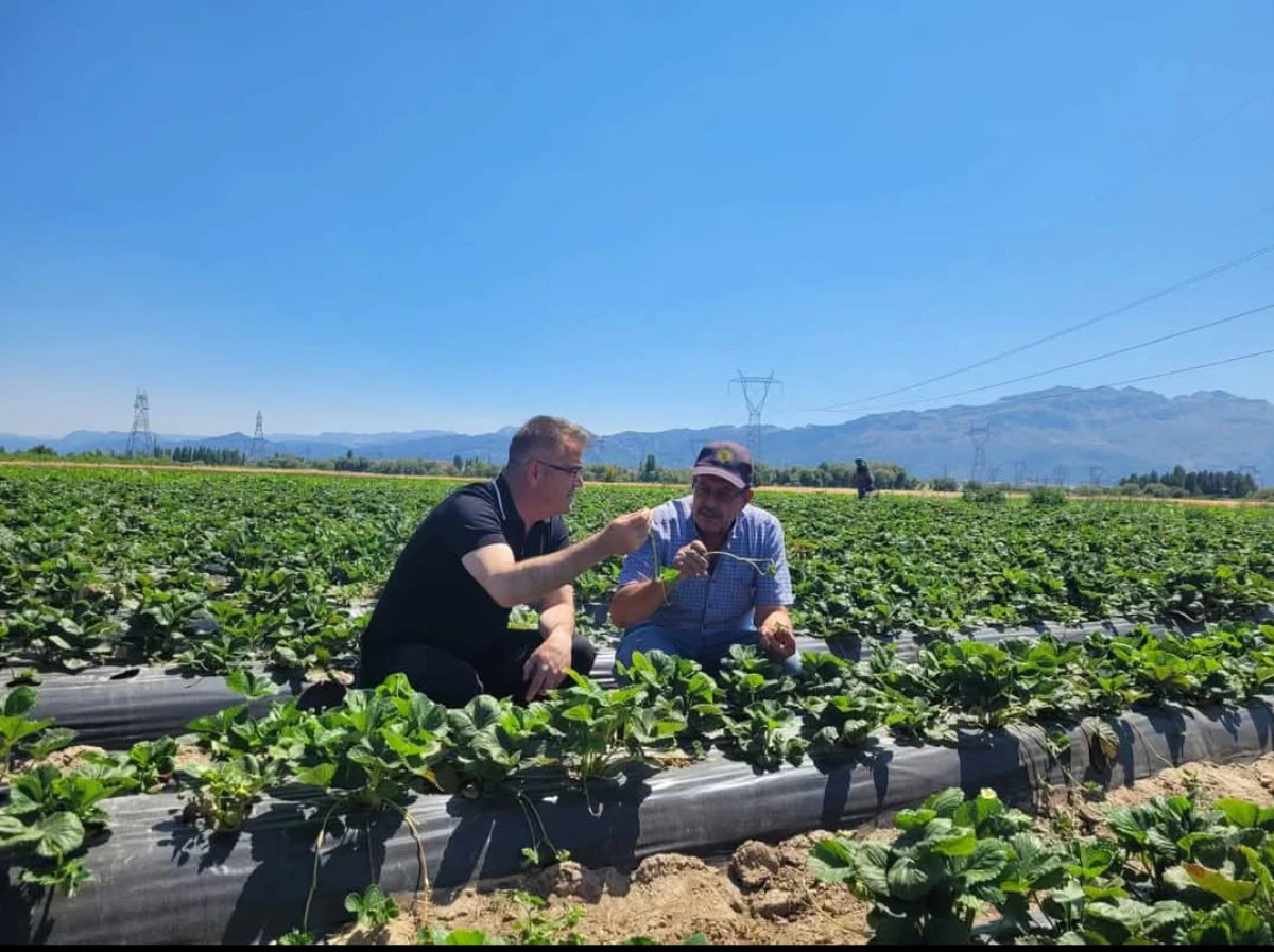 SEYDİŞEHİR &Ccedil;İLEĞİ TESCİLLENDİ 