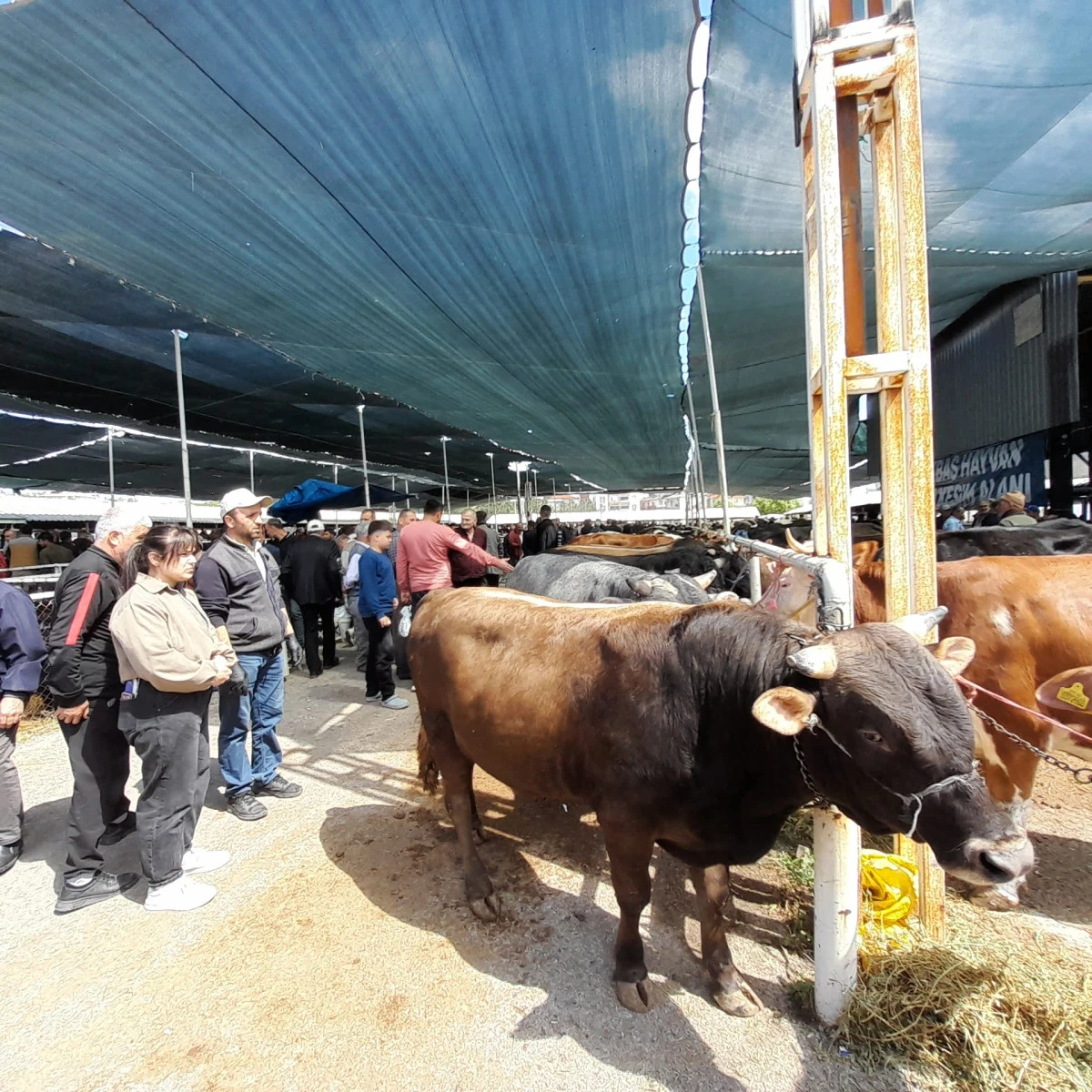 Seydişehir Mal Pazarı Arife G&uuml;n&uuml;nde Durgun Ge&ccedil;ti