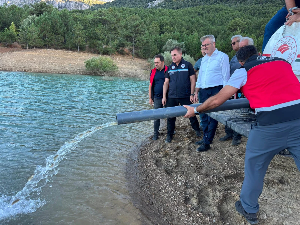 Seydişehir&rsquo;de G&ouml;letlere 450 Bin Yavru Balık Bırakıldı