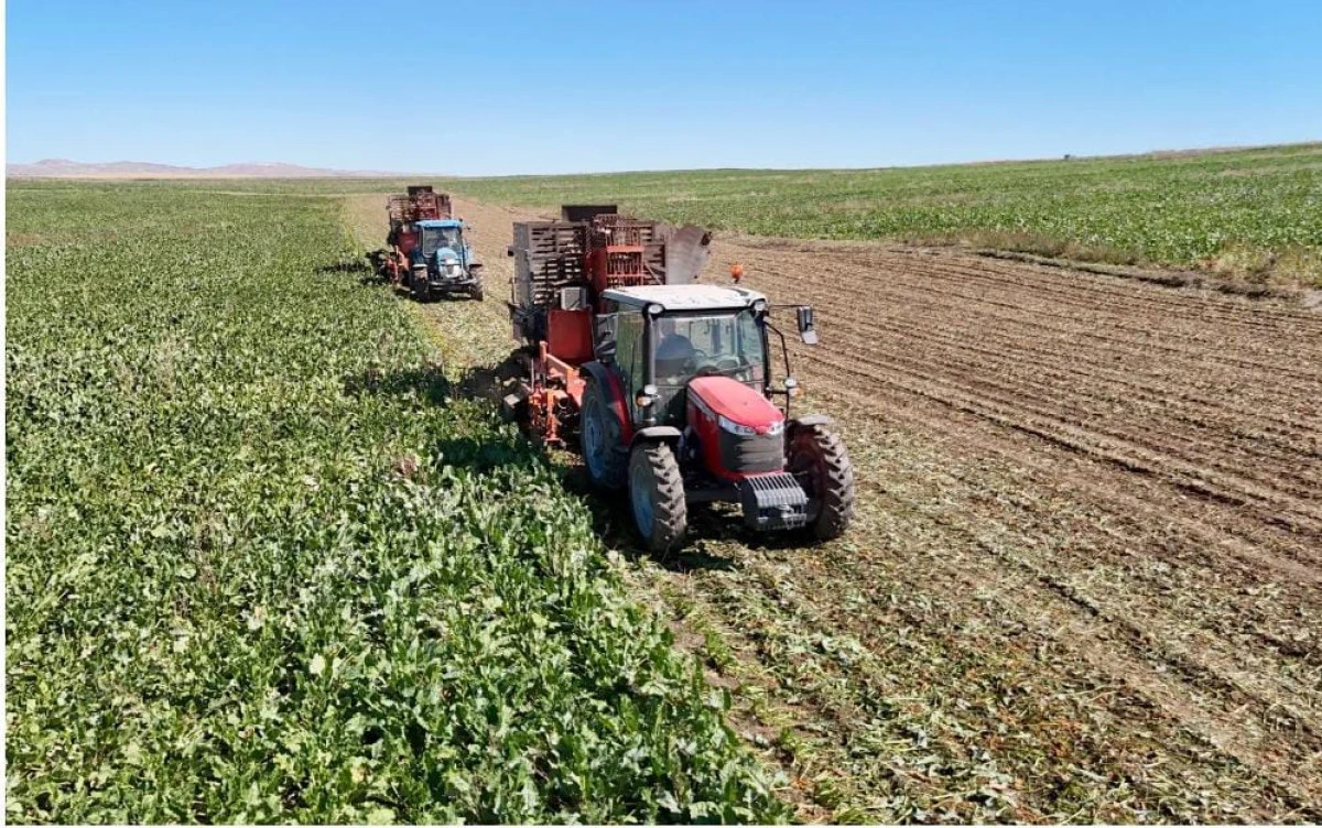 Seydişehir&rsquo;de Pancar &Uuml;reticileri &Uuml;r&uuml;nlerini Fabrikaya Ulaştırmakta G&uuml;&ccedil;l&uuml;k &Ccedil;ekiyor