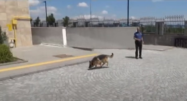 Seydişehir Emniyeti Eğitimli Köpekleri İle Uyuşturucu tacirlerine göz açtırmıyor